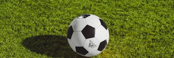 世界杯比赛现场观众热烈欢呼的壮观场面